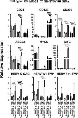 Overexpression of Endogenous Retroviruses and Malignancy Markers in Neuroblastoma Cell Lines by Medium-Induced Microenvironmental Changes